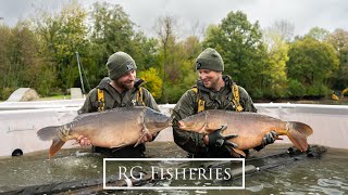 Matfield Lilies Lake  Carp Netting [upl. by Ahsinej]