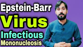 Epstein Barr Virus  Infectious Mononucleosis [upl. by Marin]