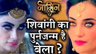 Is There any SECRET Connection Between Bela amp Shivangi in NAAGIN 3 [upl. by Sjoberg872]