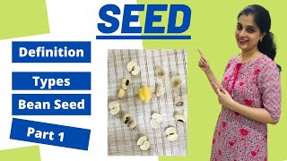 Seeds Structure and Germination Class 9 ICSE Biology Chapter 6 Part 1 Live Example Types of Seeds [upl. by Conard797]