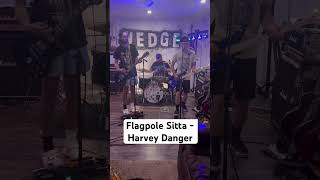 Flagpole Sitta cover…Full vid on channel [upl. by Millicent]