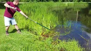 The Yard Blade® makes quick work of cutting cattails [upl. by Sergio]