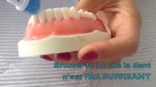 Technique de brossage des dents avec brosse  à dent électrique – Dr Rania Azzi Parodontiste [upl. by Stricklan]