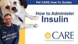 How to Give an Insulin Injection  Pet CARE Howto Guides [upl. by Ynney281]