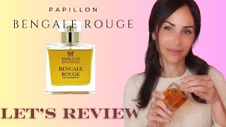 Papillon Bengale Rouge  A hidden gem [upl. by Shull935]