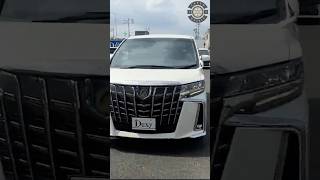 EXPERT Reveals 2024s Most LUXURIOUS Toyota Alphard Hybrid S Type Features [upl. by Eniluqcaj938]