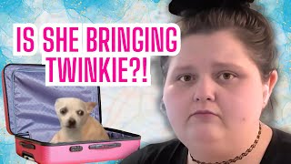 Is Amberlynn Bringing Twinkie To Wisconsin Vlog amp Reaction [upl. by Mildred]