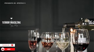 Qual taça você está usando Descubra o segredo para saborear seu vinho como um sommelier [upl. by Nowyt]