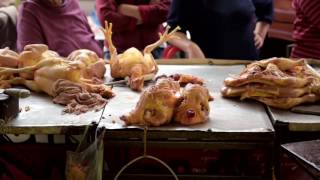 Matanza de pollos en mercados  Slaughter of chickens in markets  México 2015 [upl. by Dosia]