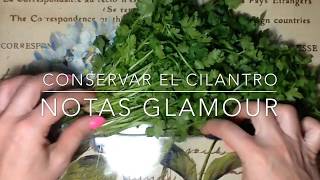 CÓMO GUARDAR EL CILANTRO EN LA NEVERA  CILANTRO FRESCO POR MÁS TIEMPO  CONSERVACIÓN DE ALIMENTOS [upl. by Maker]