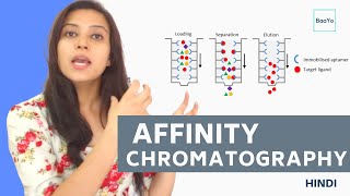 Affinity chromatography  Introduction and Principle in Hindi [upl. by Ellainad]