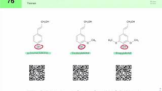 Lignin Aufbau und Biosynthese [upl. by Thetis761]