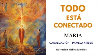 TODO ESTÁ CONECTADO✨Estas Conectado con otras Almas💫 Mensaje de María 🦋Canalización Pamela Kribbe [upl. by Santoro]