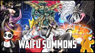 WAIFU SUMMONS Beauty Pick Up Banner Digimon ReArise JP [upl. by Novart]