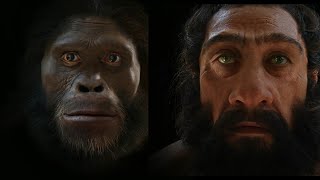 जानवर से इंसान  HUMAN EVOLUTION IN HINDI [upl. by Ecnarual136]