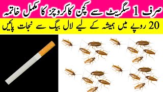 Safe And Effective Way To Kill CockroachesRemedies To Get Rid Of CockroachesKitchen Tips [upl. by Scribner65]