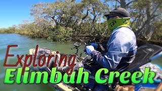 Exploring Elimbah Creek [upl. by Neltiak]