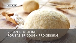 Vegan LCysteine for Dough Processing [upl. by Bergren]