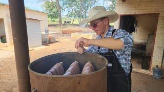 salchichas ahumadas tradicionales menonitas yalnon campeche México 🇲🇽🇲🇽🇲🇽 [upl. by Kimberlee]