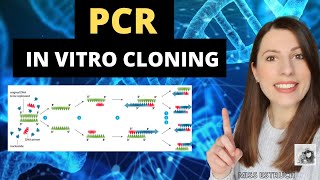 PCR In vitro cloning Alevel Biology Polymerase chain reaction process and advantages [upl. by Farrington]