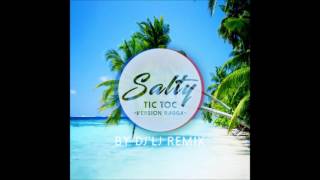 DJ LJ REMIX SALTY  TIC TOC VERSION RAGGA 2017 [upl. by Werbel]