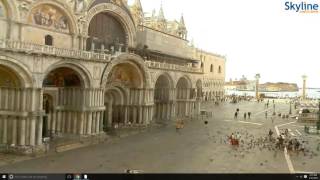 Piazza San Marco  Venice  Live [upl. by Bunker355]