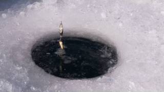 Ice Fishing at Panguitch Lake [upl. by Deys798]