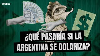 ¿QUÉ PASARÍA SI SE DOLARIZA LA ECONOMÍA ARGENTINA [upl. by Annaicul449]