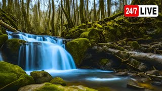 Relaxing Nature Sound Mountain River Flowing Soft gurgling water Relaxation for Sleeping [upl. by Marder]