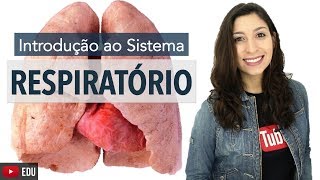 Sistema Respiratório 16 Introdução  Anatomia e etc [upl. by Annerb]