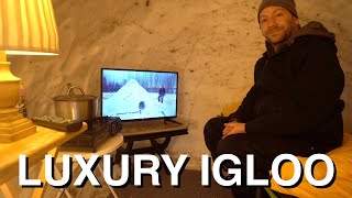 Luxury Snow Fort Camping IglooQuinzhee [upl. by Jayme]