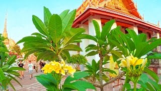 Thailand floating market Ratchaburi Damnoen saduak amp Bangkok near Grand palace 4K [upl. by Zullo]