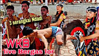 REOK WAHYU KARYO BUDOYO‼️ live 23 Januari 2024 dibergas lor semarang [upl. by Brigg232]