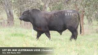 LOT 89 MILLAH MURRAH ULSTERMAN U338 [upl. by Enamart]