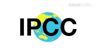 25 years of the IPCC  Nature Video [upl. by Nereus]