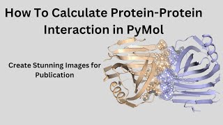 How to calculate proteinprotein interactions in PyMol [upl. by Karlene158]