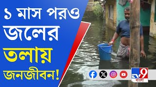 Bongaon Waterlogged এক মাস ধরে জলের নীচে বনগাঁর ১৪টি ওয়ার্ড [upl. by Ecinerev]