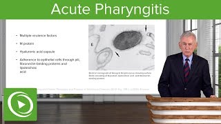 Acute Pharyngitis Definition amp Epidemiology – Infectious Diseases  Lecturio [upl. by Sharity592]