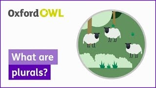 What are plurals  Oxford Owl [upl. by Ydeh]