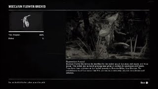 Red Dead Redemption 2 All 10 Moccasin Flower Orchids Locations [upl. by Neral18]