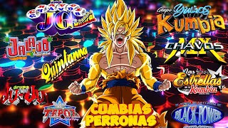 LAS CUMBIAS MAS PERRONAS MIX RAYMIX GRUPO JALADO ICC KUAL GILES LOS DEAKINO AKINO SON TEPITO [upl. by Nyraf371]