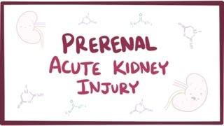 Prerenal acute kidney injury acute renal failure  causes symptoms amp pathology [upl. by Aikrehs280]