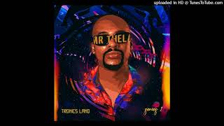 Mr Thela  Tronics Anthem [upl. by Anwahs412]