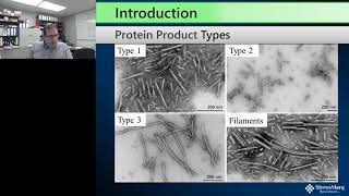 Examining the effects of sonication on alpha synuclein preformed fibrils PFFs [upl. by Hamilton]