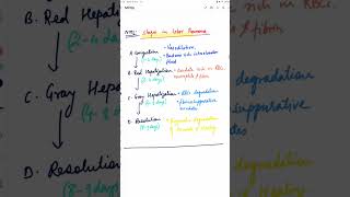 Pathology MCQ  LUNG  LOBAR PNEUMONIA lobarpneumonia pathology mbbs nextfmge lungs nextexam [upl. by Aydin]