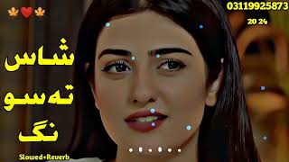 Pashto New Songs 2024 SlowedReverbPashto Song  Sad Song  Lofi Song  New Song 2024 [upl. by Rather]