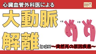 【心臓血管外科医による】大動脈解離とは！？ ～突然死の原因疾患～ [upl. by Arta]