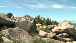 Der Harz  ein Märchengebirge [upl. by Lupee828]