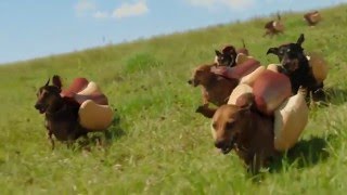 HEINZ Ketchup 2016 Hot Dog Commercial the Wiener Stampede [upl. by Krik62]