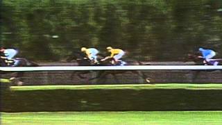 1989 Breeders Cup Classic [upl. by Ylyl447]